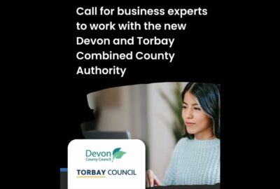 An advert for the Business Advisory Group, reading 'Call for business experts to work with the new Devon and Torbay Combined County Authority'. Image shows a person sat at their laptop