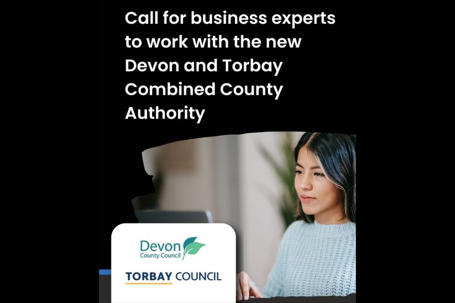 An advert for the Business Advisory Group, reading 'Call for business experts to work with the new Devon and Torbay Combined County Authority'. Image shows a person sat at their laptop