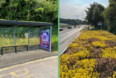 Living roof bus shelter