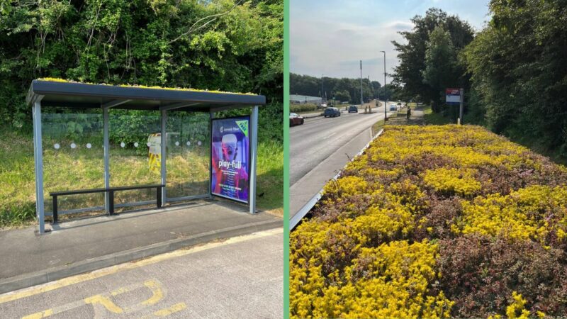 Living roof bus shelter