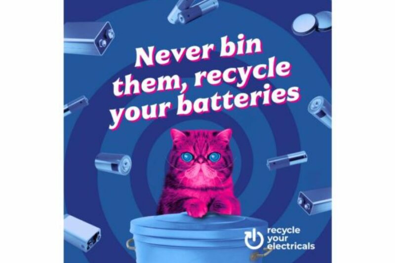 Text reads: Never bin them, recycle your batteries
