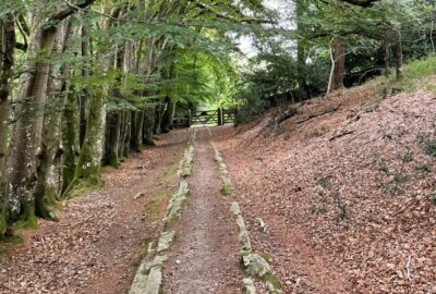 Templer Way