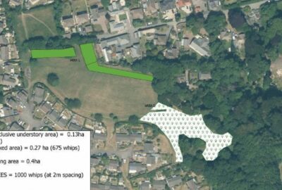 Map showing where trees will be planted