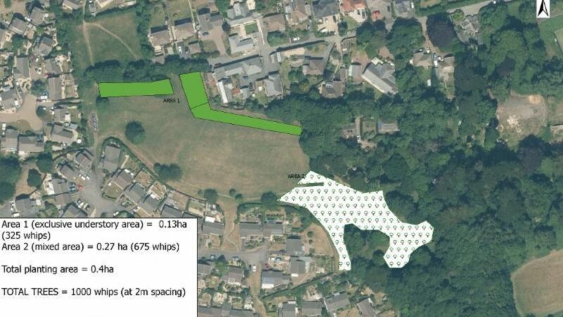 Map showing where trees will be planted