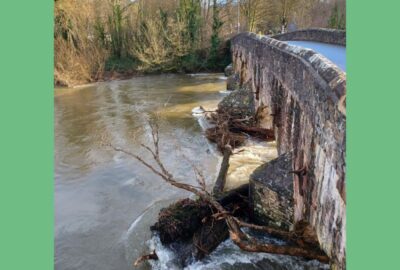 Tree debris at Bickleigh Bridge