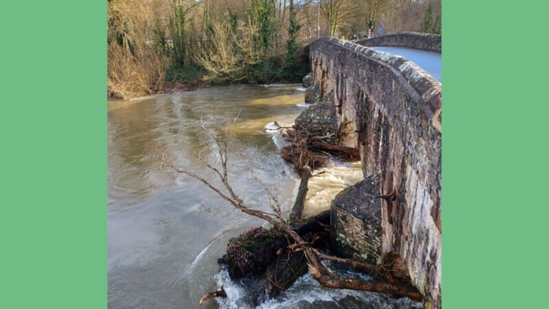 Tree debris at Bickleigh Bridge