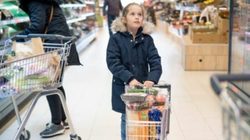 A little girl pushing a child's trolley in a supermarket with food in the shopping trolley