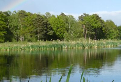 Stover Lake