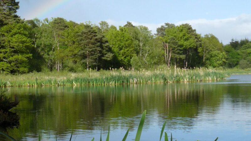 Stover Lake