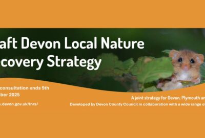 image shows a mouse in some leaves, with title: Draft Devon local nature recovery strategy