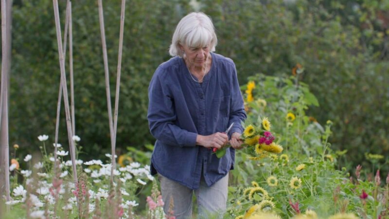 Clare Hargreaves at the Apricot Centre