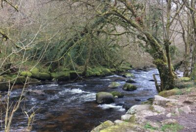A river flowing through Devon