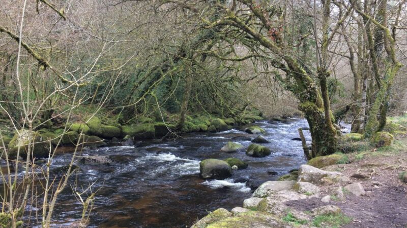 A river flowing through Devon