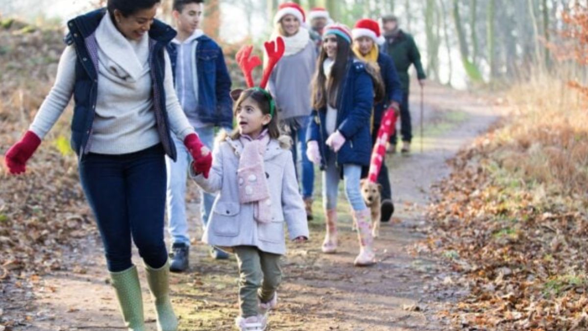 A family wrapped up in warm festive clothes going for a walk in the woods, children and adults