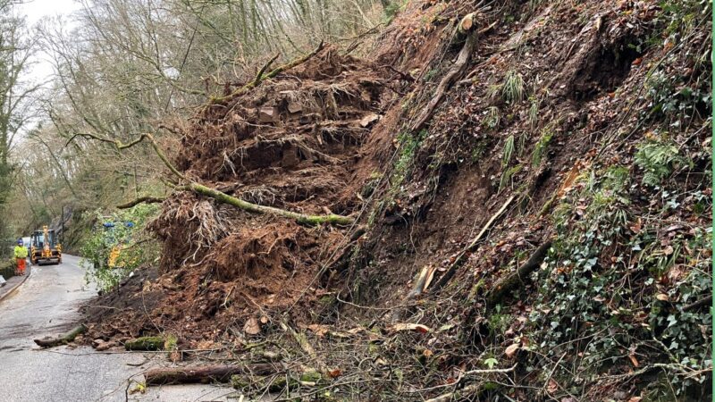 Mud and trees from landslip on A386