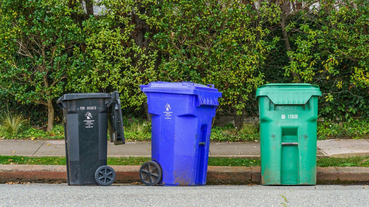 Different coloured bins