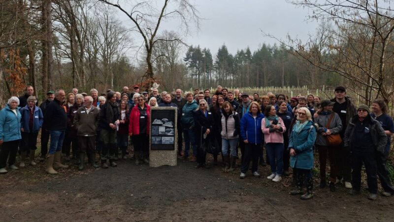 Guests at the unveiling of a commemorative plinth at Stover Country Park