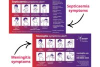 Symptoms of meningitis and septicaemia