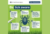 Tick awareness poster from the UK Health Security Agency. It shows a large tick illustration in the centre and six safety tips around it: use tick‑repellent; wear long sleeves and long trousers; keep to clearly defined paths; regularly check for ticks and brush them off; check yourself, children and pets for ticks when back indoors; and safely remove any tick you find as soon as possible. The background includes grass and green tones, with the heading ‘Be tick aware.