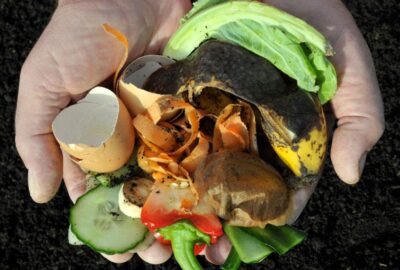 A hand holding items of waste eg vegetable peelings, suitable for home composting