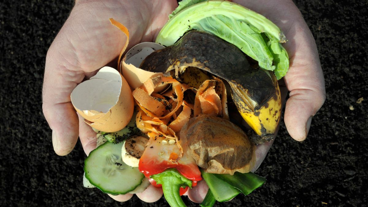A hand holding items of waste eg vegetable peelings, suitable for home composting