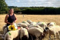 Councillor Cheryl Cottle-Hunkin in a field with her sheep
