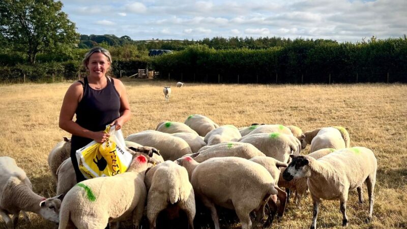 Councillor Cheryl Cottle-Hunkin in a field with her sheep