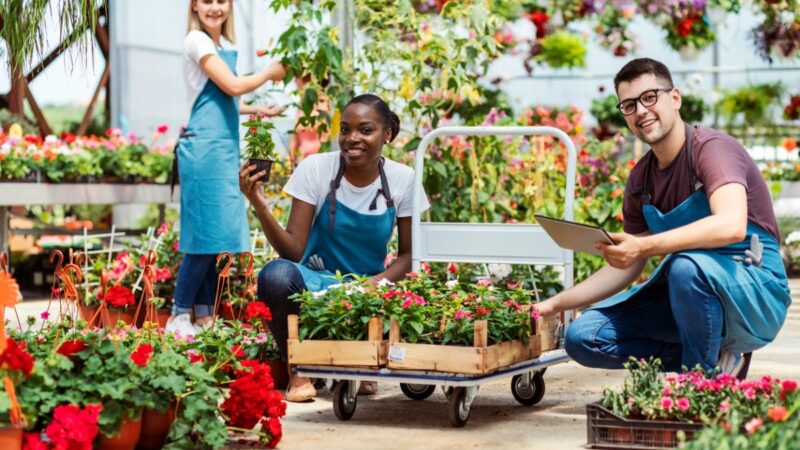 Staff at a garden centre