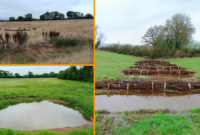 A range of natural flood defences