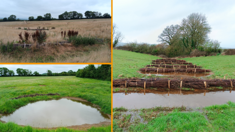 A range of natural flood defences
