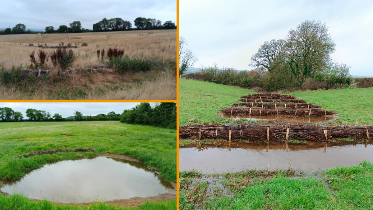 A range of natural flood defences