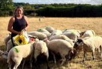 Councillor and farmer, Cheryl Cottle-Hunkin, stood in a field with her sheep