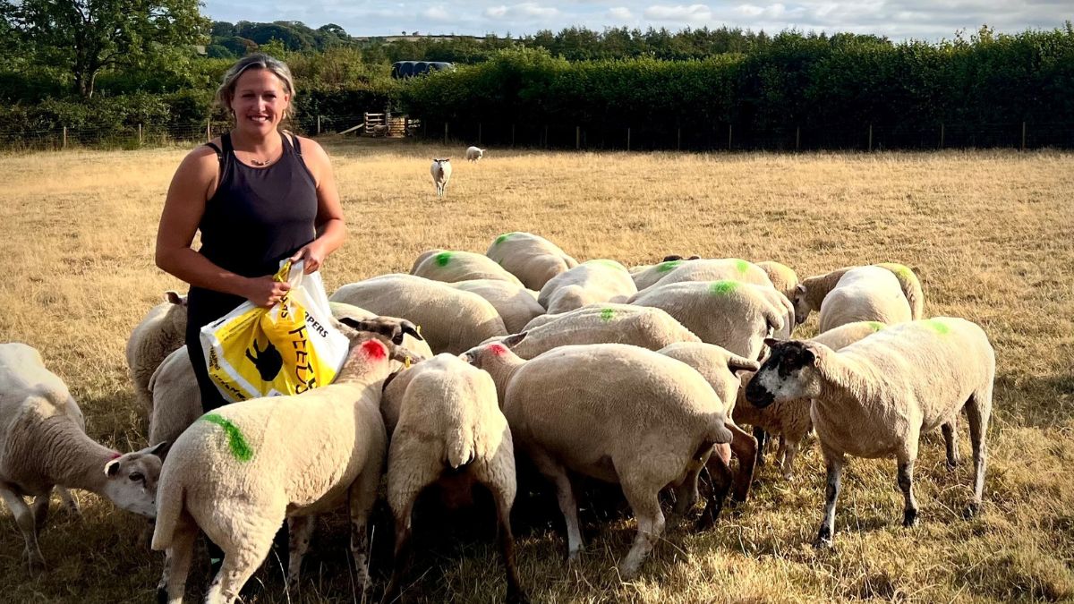 Councillor and farmer, Cheryl Cottle-Hunkin, stood in a field with her sheep