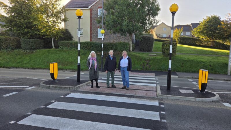 Devon councillors pose outside Okehampton primary school on new zebra crossing