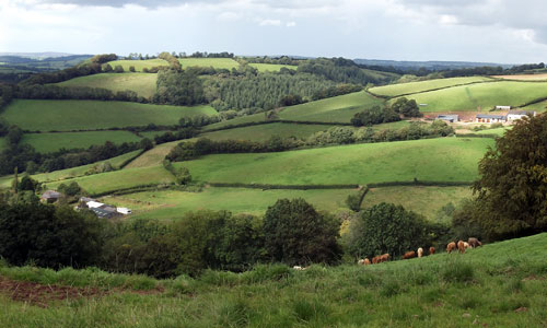 bampton and beer downs landscape picture
