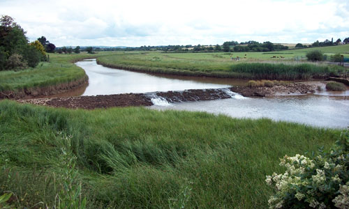 clyst lowland farmland landscape image