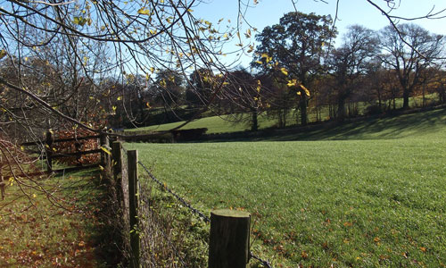 dca crwys morchard landscape picture