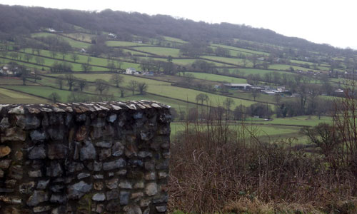 cullompton rolling farmland landscape picture
