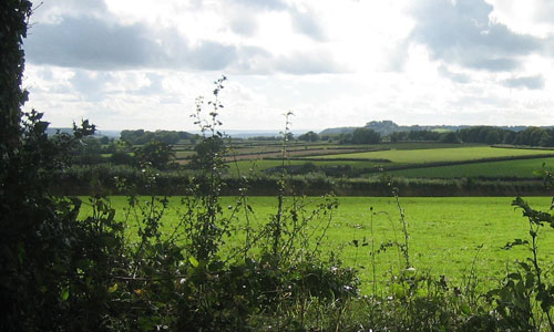 east devon central ridge landscape image