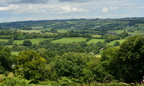 dca-eastern-blackdown-ridge