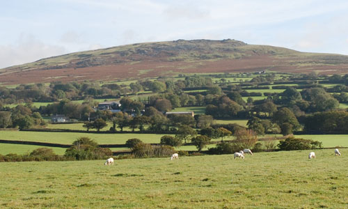 Tavistock Dartmoor landscape