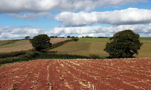 yeo culm exe landscape picture