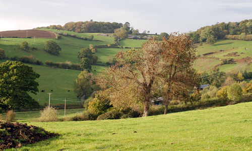 east dartmoor landscape picture