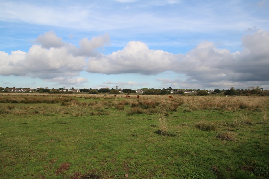 View east from the coastal grazing pastures towards the development on the eastern side of the Exe Estuary. GPS Coordinates 295857 87451