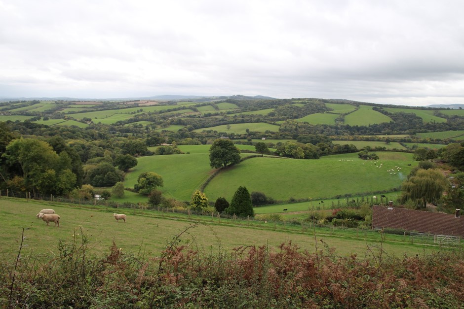 View south from road west of Whitestone looking over the valleys and rolling hills. GPS Coordinates 285909 93898