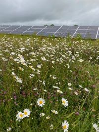 Creacombe Solar Farm - photo by Guy Parker.