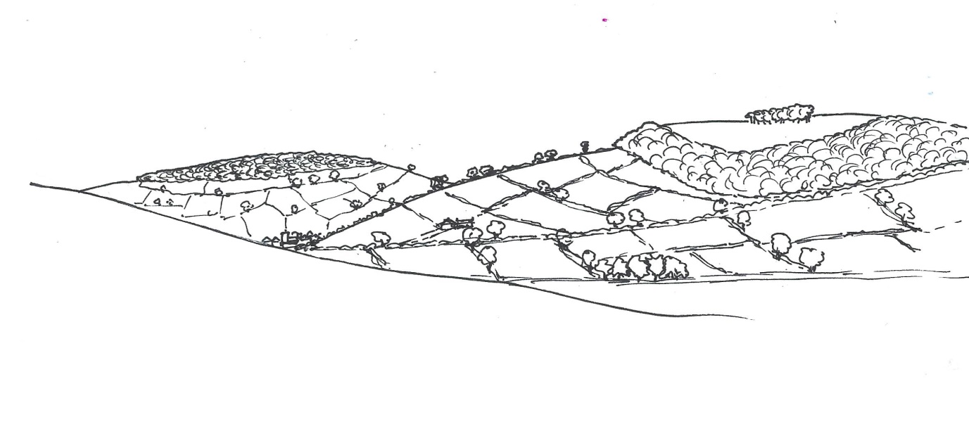 A simple black and white sketch of a small scale Devon landscape with intricate field patterns on sloping valley sides.