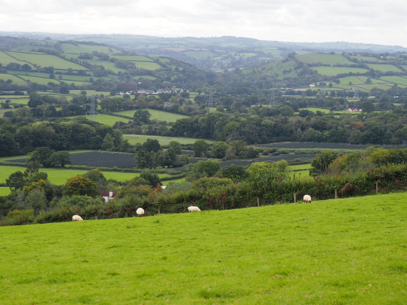 The PV scheme on land east of Bowden’s Farm Shillingford, viewed from the north-east.