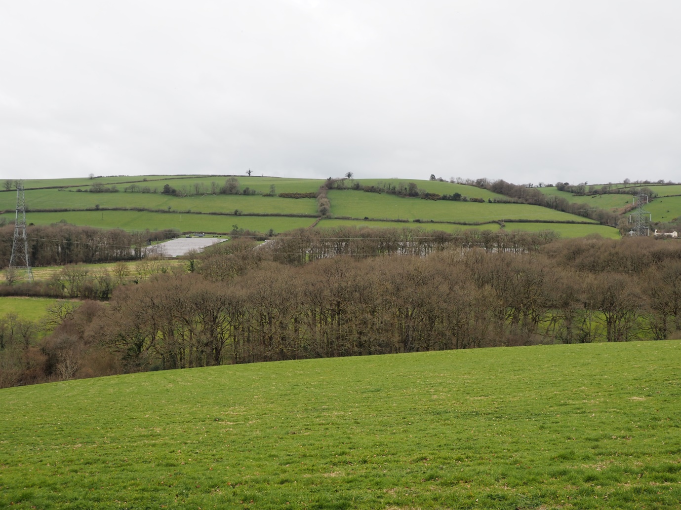 The PV scheme on land east of Bowden’s Farm Shillingford, viewed from the south. The panels are largely obscured by trees.
