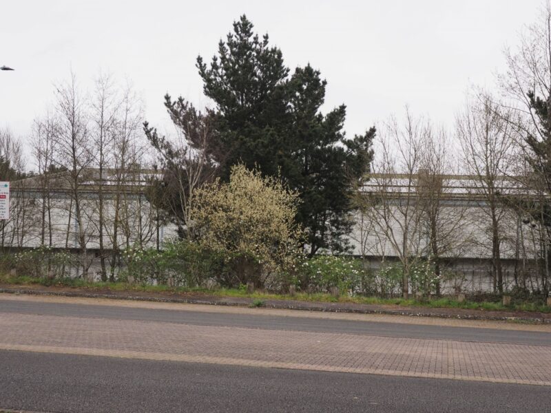 A large building with rooftop solar PV arrays on Sowton Industrial Estate, Exeter.